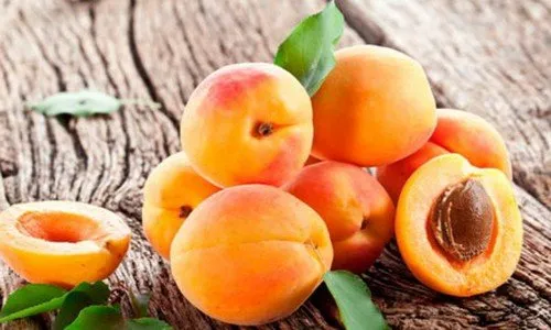 Плоды Краснощёкого абрикоса в разрезе