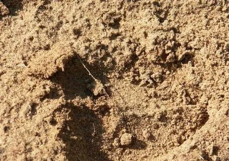 Какие почвы содержат больше всего песка 3