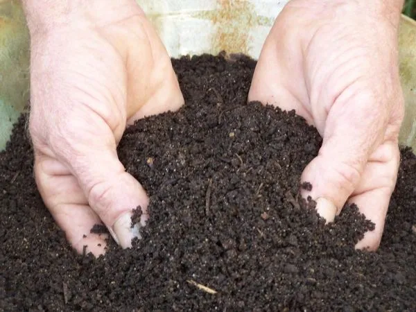 Гумус: что это такое, состав, как образуется, классификация почв по содержанию гумуса, как использовать гумусное удобрение