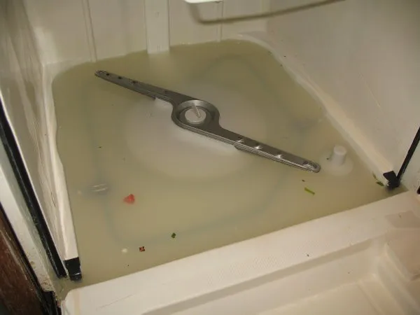 Посудомоечная машина bosch не сливает воду