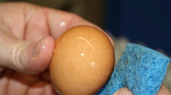 Очищение яиц