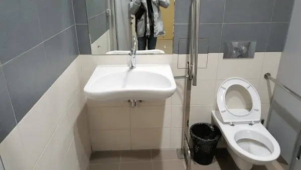 Как выглядит туалет для инвалидов 12