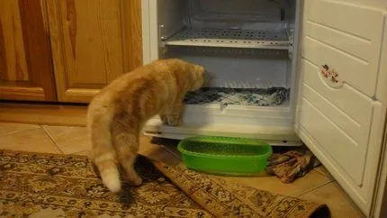 Холодильник работает но не охлаждает в чем причина 3