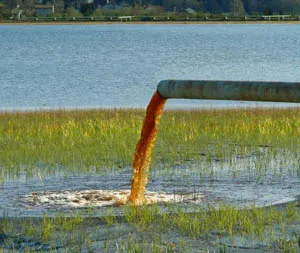 незаконное загрязнение охранных зон водопровода