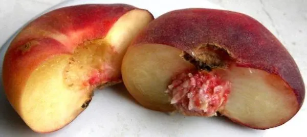 Инжирный персик обладает большим количеством полезных свойств