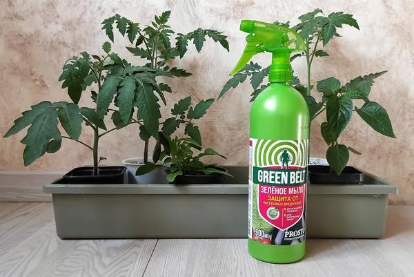 Зеленое мыло можно без опаски применять на рассаде