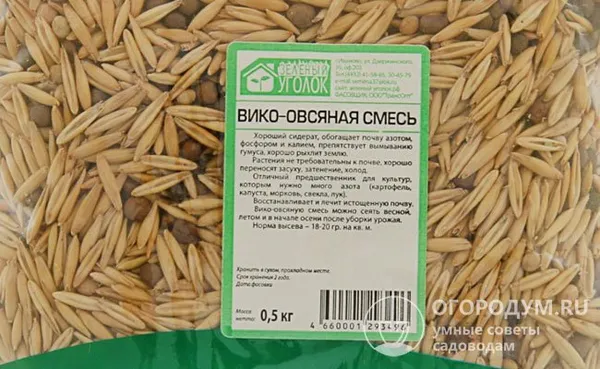 Производители посадочного материала предлагают овсяное зерно в «чистом» виде или в составе готовых смесей, например, с викой, как на фото