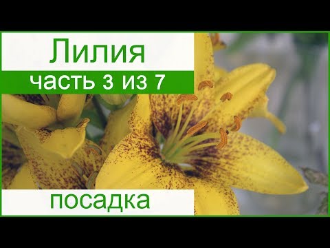 Чем отличается встраиваемая стиральная машина от обычной 27