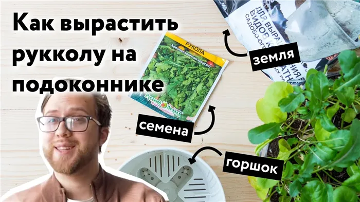 Как обустроить бытовку внутри для проживания 24