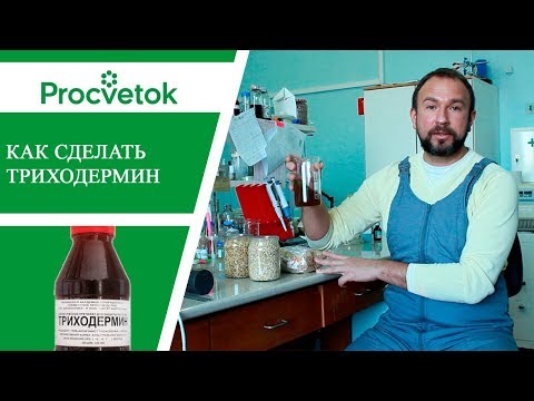 Пенобетон и газобетон в чем разница 21