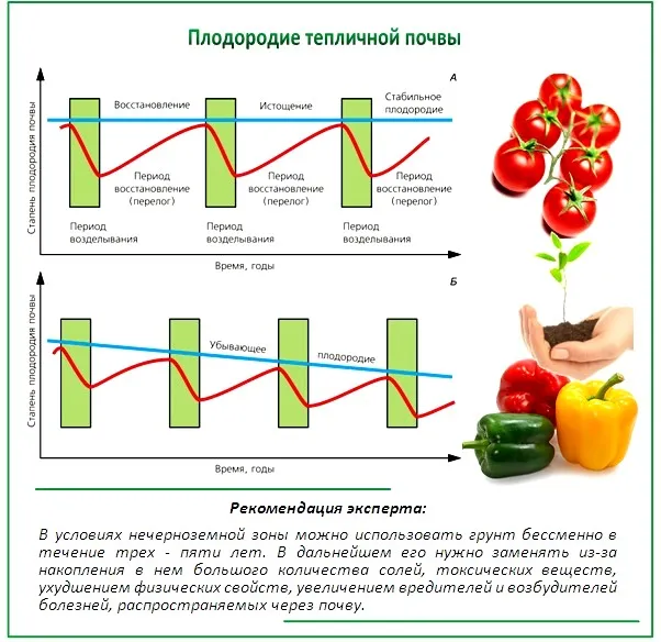 Какая почва в тайге 6