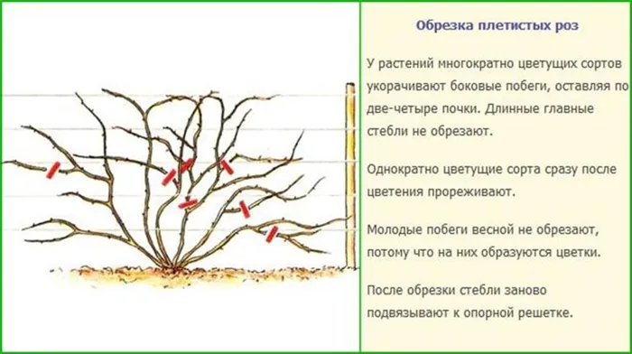 Как покрасить плитку на полу 23