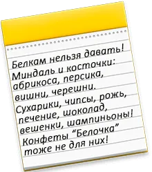 Чтобы укроп быстро взошел что надо делать 23