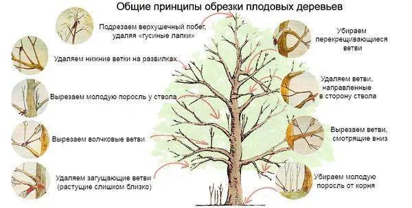 Как покрасить плитку на полу 24