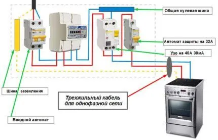 Бук это какое дерево 34