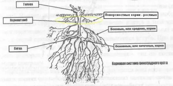 Что будет если соединить две фазы между собой 26