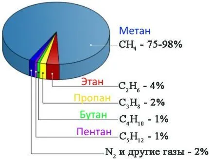 Чем кормить декоративного кролика 23