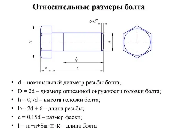 относительные размеры болта