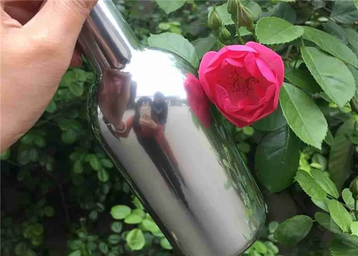 Виды и особенности красок с эффектом хрома 10 Хромированная бутылка