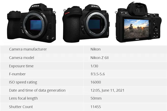 nikon shutter count exif data table