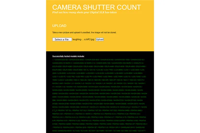 use online website to see nikon shutter count