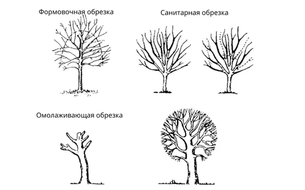 Инструменты