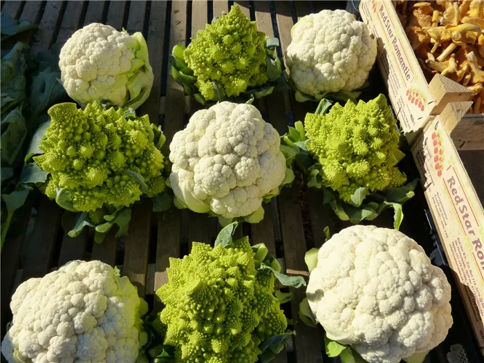 cauliflower-68791_1920.jpg