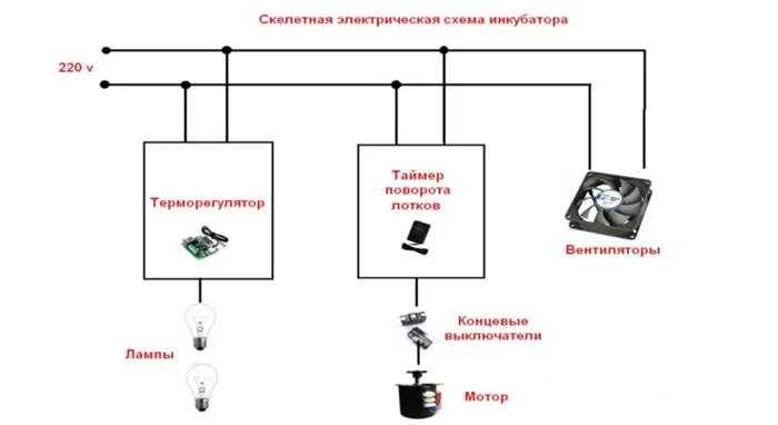 Инкубатор своими руками