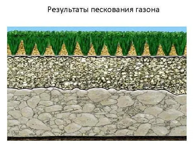 пескование газона