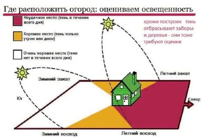 Грядки на возвышении