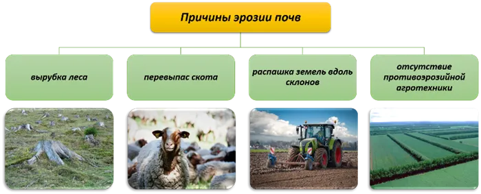 Причины эрозии в сельском хозяйстве