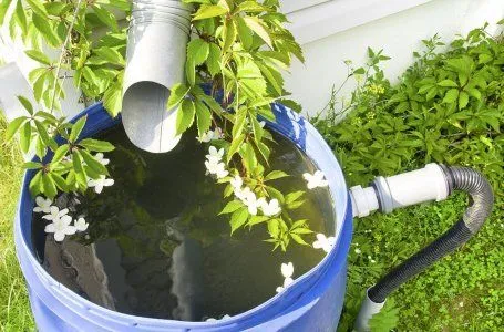 Что такое эрозия почв 4