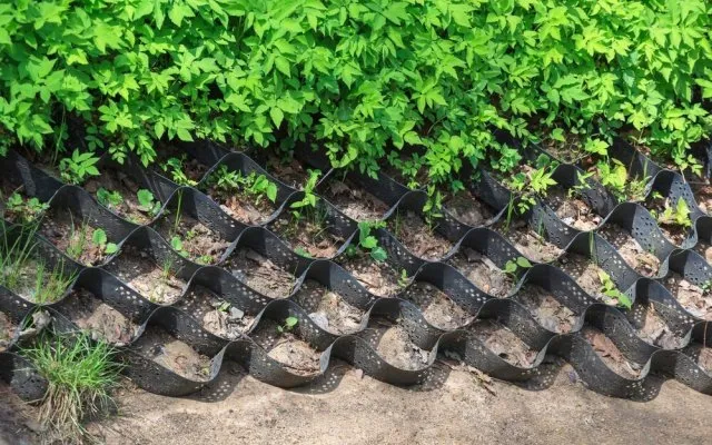 Борьба с эрозией почвы