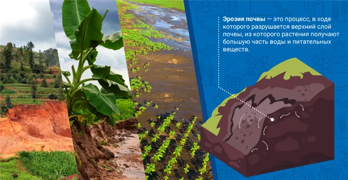 Что такое эрозия почв в сельском