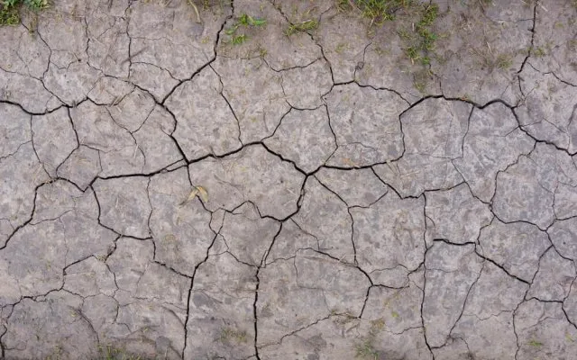 Профилактика эрозии почв