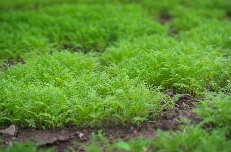 Что такое эрозия почв 5