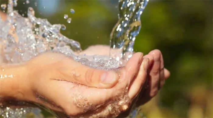 Даже если на первый взгляд вода кажется чистой, ее следует пропустить через фильтр. Ведь пить воду из речки или озера опасно