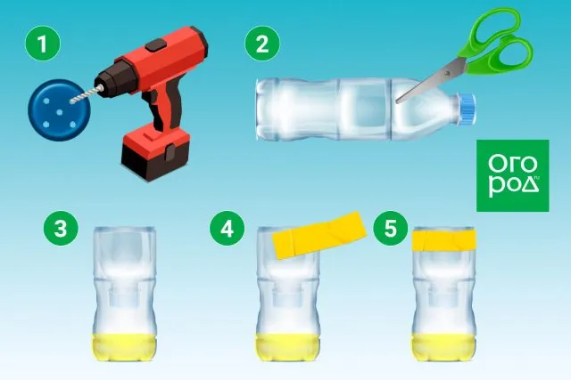 Ловушка для мух из пластиковой бутылки