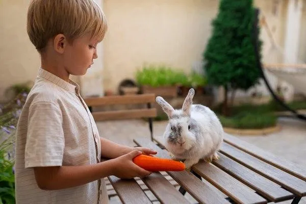 Что едят кролики в домашних условиях список 2