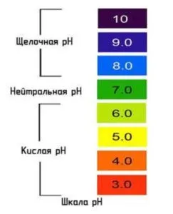 Как подкислить почву для голубики: есть только один верный способ!