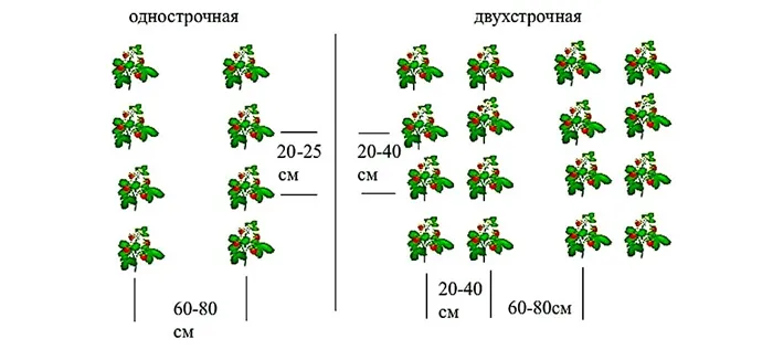 схемы посадки