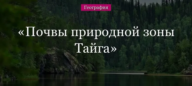 Какая почва в тайге 3